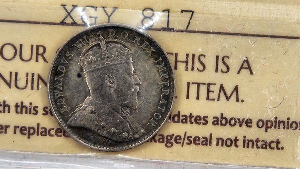 Canada 5 cents 1908 Small 8 - ICCS AU55 - Image 5