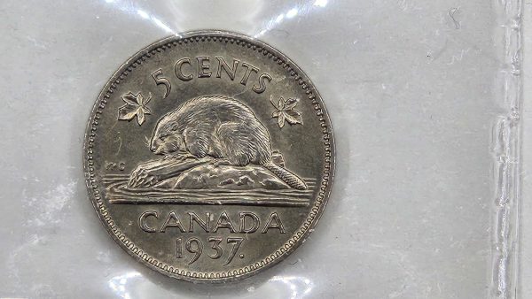 Canada 5 cents 1937 - ICCS MS64 - Image 5