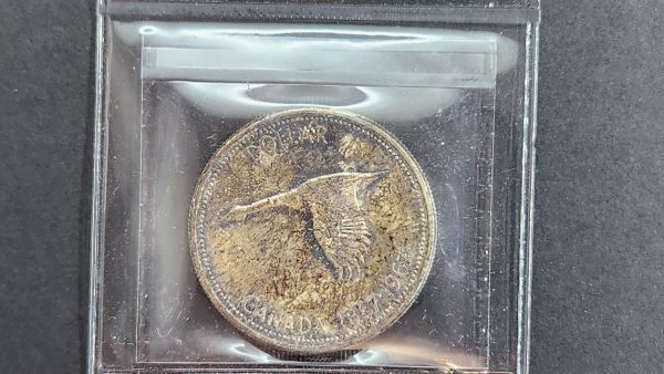 Canada $1 1967 - ICCS MS65 - Image 2